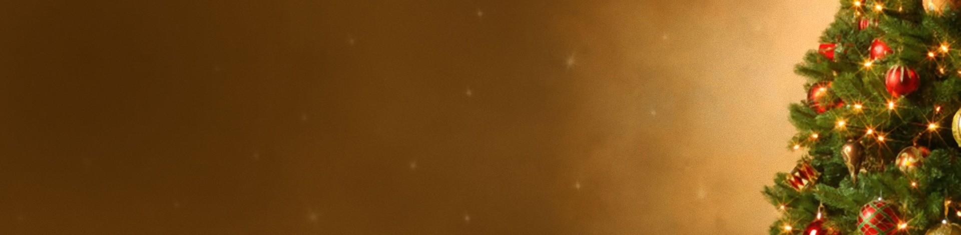 Prajeme Vám krásne Vianočné sviatky plné zdravia, lásky   a vzájomného porozumenia !