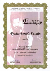 Medzinárodná súťaž Zoltána Kodálya v hre na husliach